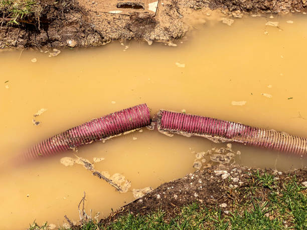Best Mold removal after water damage  in Chigan Center, MI